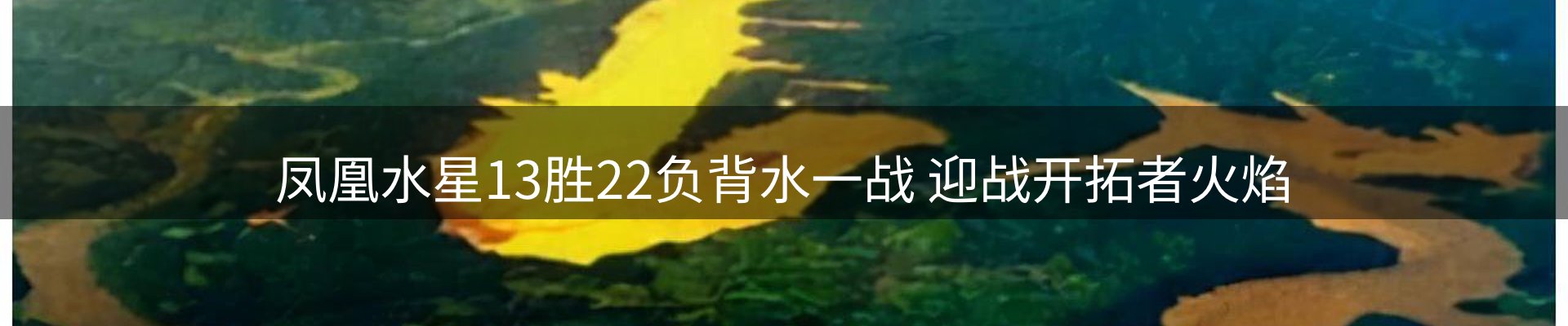 品牌资讯