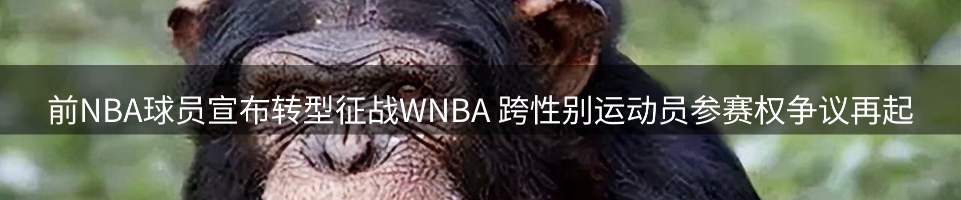 品牌资讯