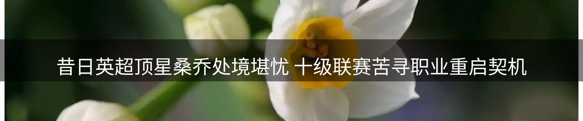 品牌资讯