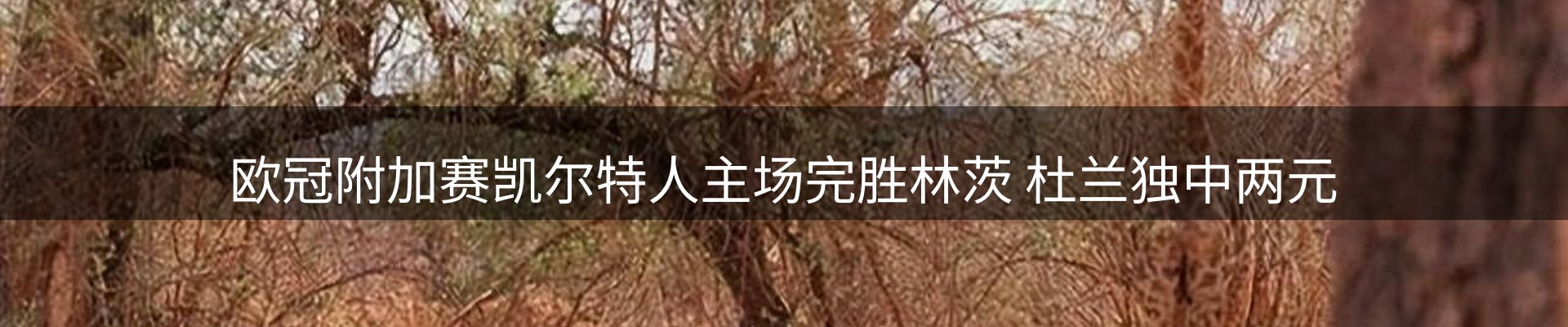 品牌资讯