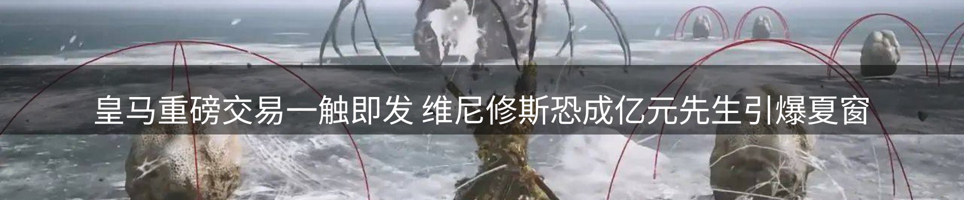 品牌资讯