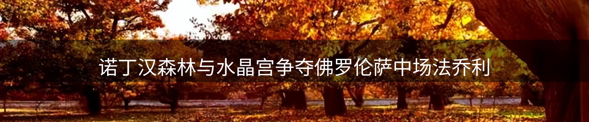 品牌资讯