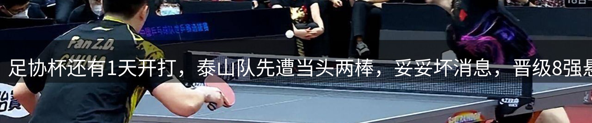 品牌资讯