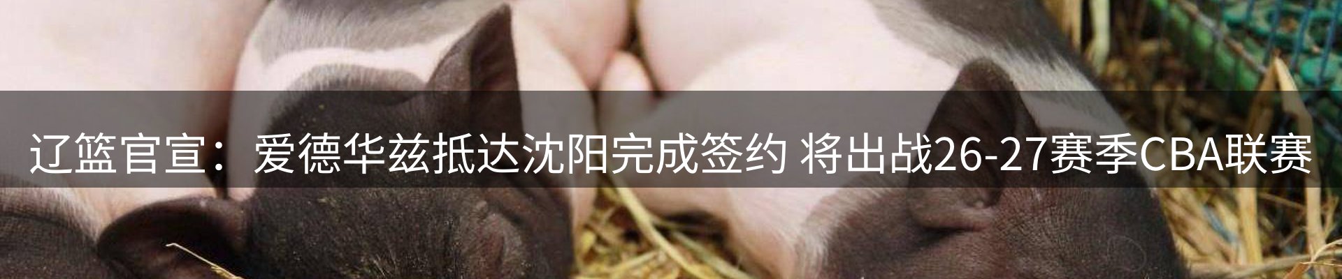 品牌资讯