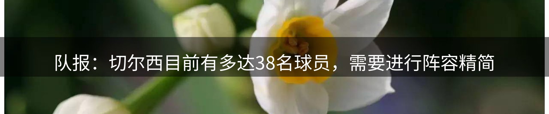 品牌资讯