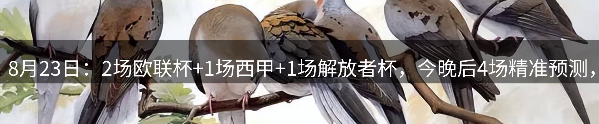 品牌资讯