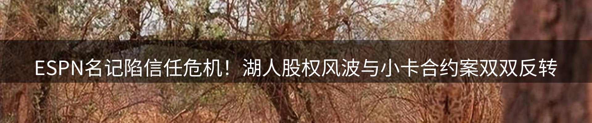品牌资讯